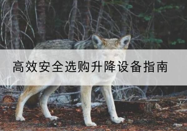 颍州升降货梯厂家推荐-*安全选购升降设备指南