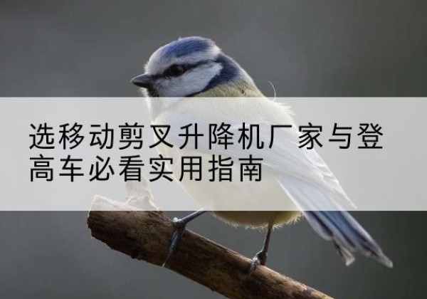 颍州电动升降机厂家-选移动剪叉升降机厂家与登高车必看实用指南