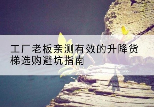 颍州升降货梯怎么选-工厂老板亲测有效的升降货梯选购避坑指南